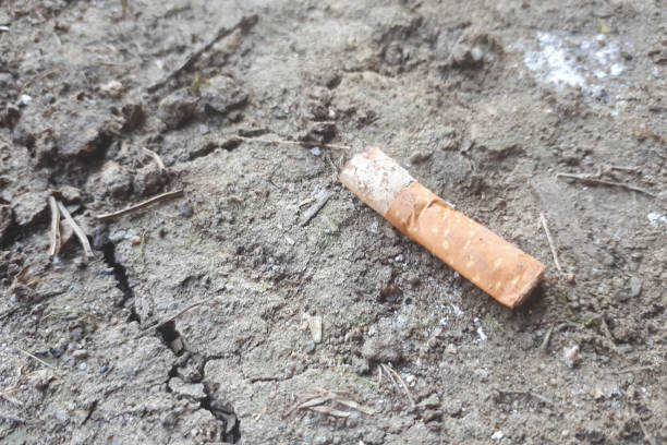 istock cigarette butts on the dirt or ground 1146924044