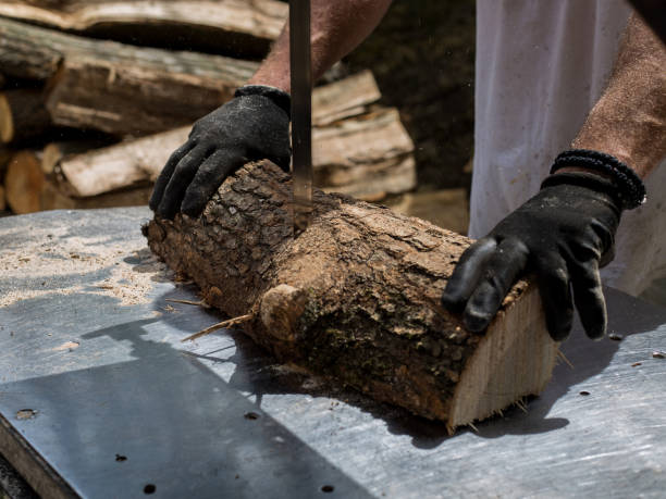 istock Man cutting sawing a log in his back yard 1146925468