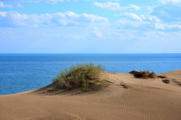 istock Kapchagay lake summer landscape 1146925557