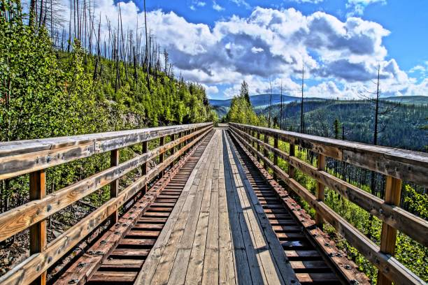 istock Former Kettle Valley railway bridge in Myra canyon 1146925809