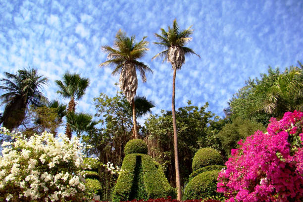 The Nile valley is one of the few places where you will find vegetation