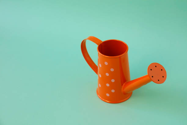 istock Orange Metal Watering Can On Green Background 1146929371