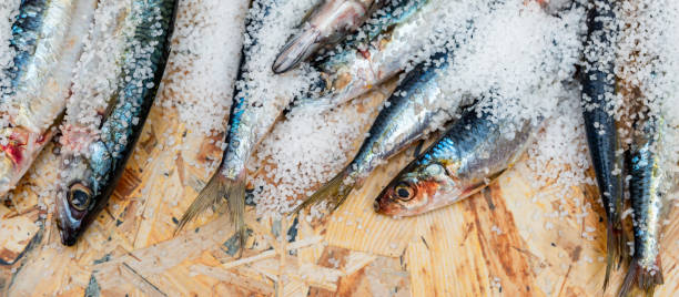 istock Whole raw organic mackerel fish with sea salt lying on a flat surface 1146931601