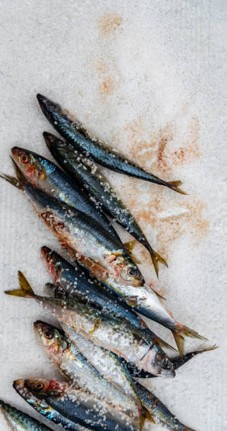 istock Whole raw organic mackerel fish with sea salt lying on a flat surface 1146931795