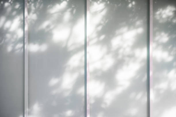 istock shadow of the leaves on wall background 1146933643