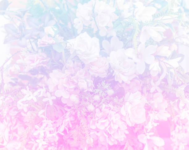 istock Flowers intside a restaurant, store, office or other 1146933682