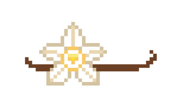 vanilleorchide-blume und getrocknete vanilleschote, 8 bit pixel-kunstsymbol isoliert auf weiß. lebensmittel, kosmetikprodukte, parfüm-paketdesign element. exotisches gewürzsymbol. aromatisches kochen & backzutaten. - vanilla spice pod isolated stock-grafiken, -clipart, -cartoons und -symbole