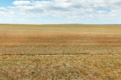 Typical Mongolian landscape, Gobi desert, Mongolia, desert landscape