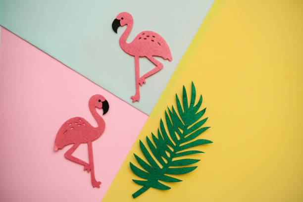 A pair of pink flamingos.