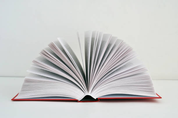 istock An open red book on a light background with an area for an inscription or text 1146953793