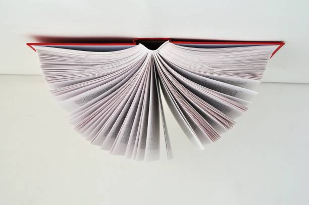 istock An open red book on a light background with an area for an inscription or text 1146953803