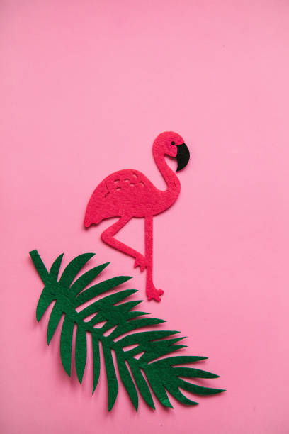 istock Flamingo and fern leaf on a pink background in minimal style. 1146954221