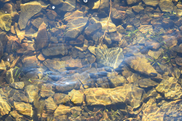 istock Stones under water in a lake in Sweden 1146955579