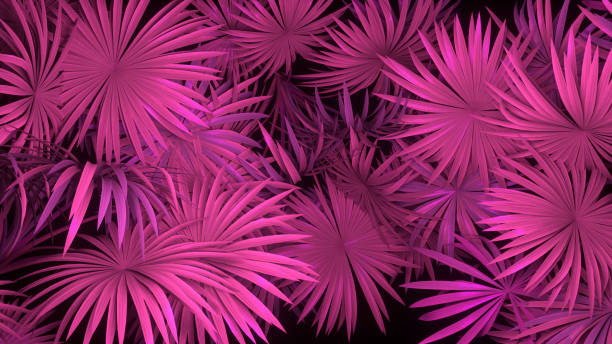 3d render neonowych liści palmowych na czarnym tle. projekt banera. retrowave, synthwave, vaporwave ilustracji. - egzotyka obrazy zdjęcia i obrazy z banku zdjęć