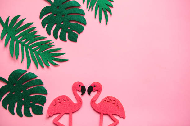 istock Flamingo and leaves on a pink background. Summer design. 1146957887