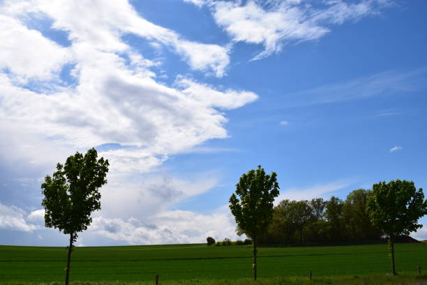 istock clouds over green springtime hills with avenue trees 1146958814