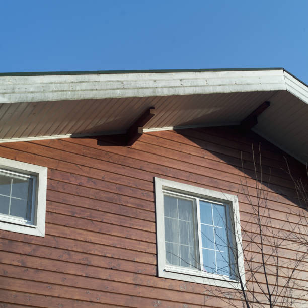 Modern wooden house with two windows, low angle outdoor shot