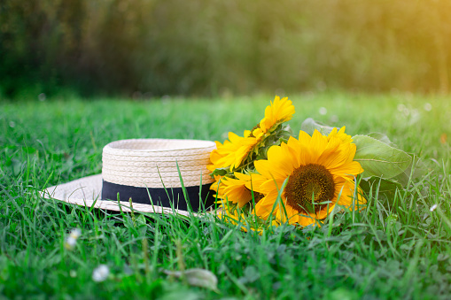 Straw Hat with Sunflowers Summer Concept Background Nature Concept Green Grass