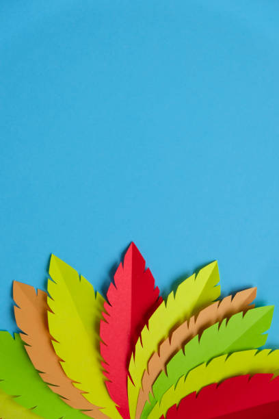 istock multi-colored turkey tail made of paper on a blue background 1146961645