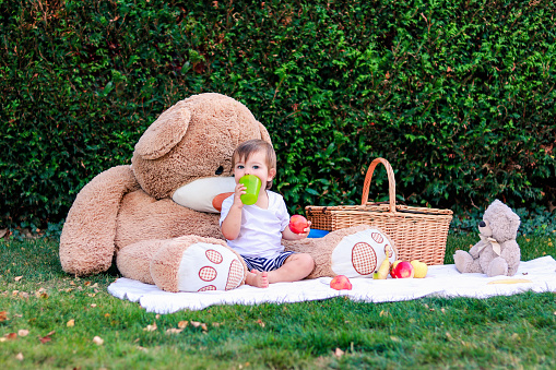 Little baby boy having picnic with teddy toys in garden. Happy child sitting on blanket with basket eating fruit outdoors. Leisure activity
