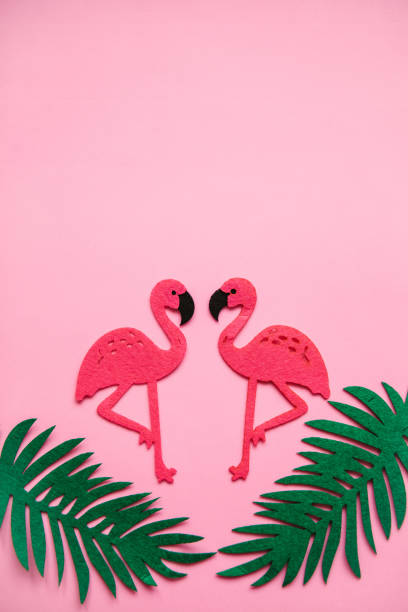 istock Flamingo and leaves on a pink background. Summer design. 1146963601