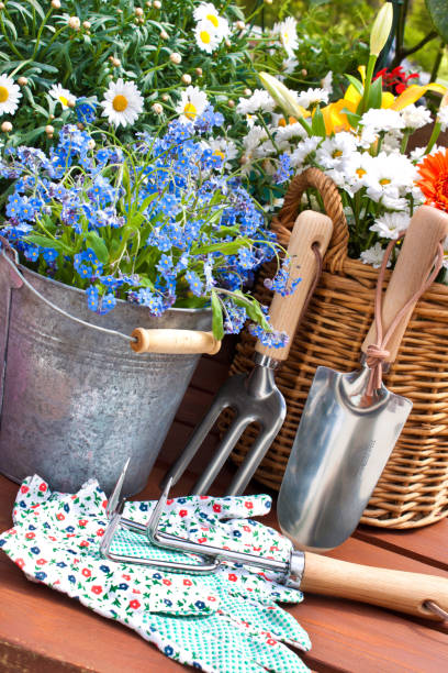 istock Gardening tools and flowers in the garden 1146964313