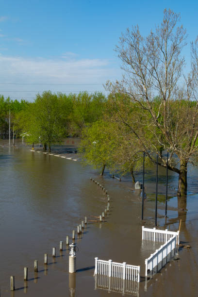 istock Flooded I & M Canal 1146964330