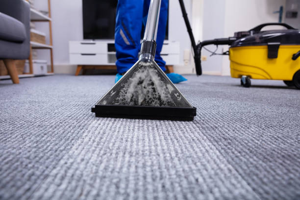 istock Person Cleaning Carpet With Vacuum Cleaner 1146967777