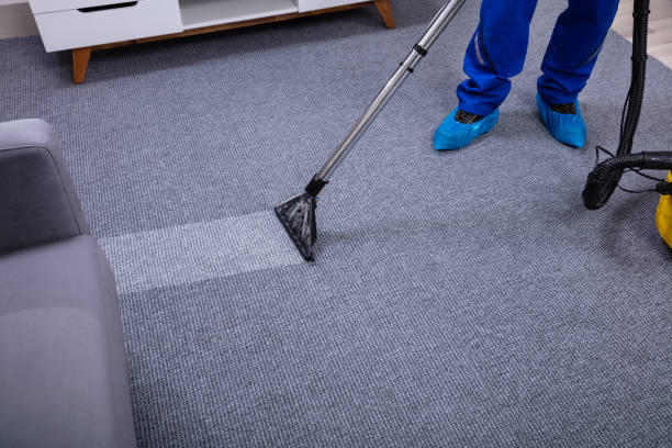 istock Male Janitor Cleaning Carpet 1146967791