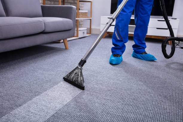 istock Male Janitor Cleaning Carpet 1146967792