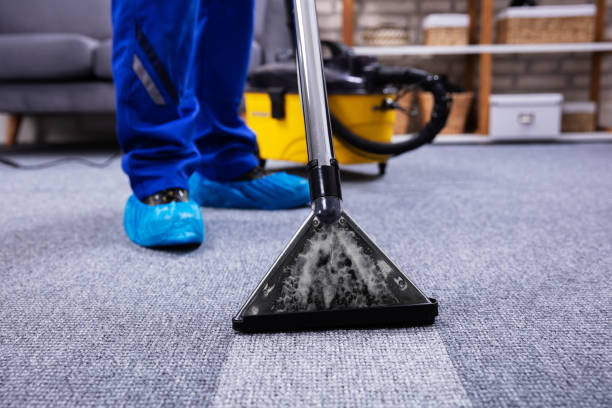 istock Person Cleaning Carpet With Vacuum Cleaner 1146967795