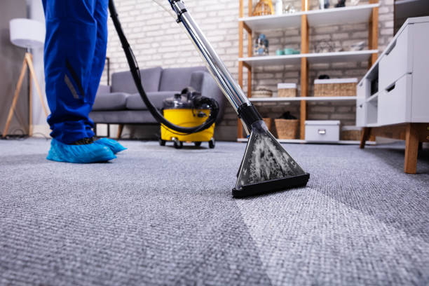 person cleaning carpet with vacuum cleaner - limpando imagens e fotografias de stock