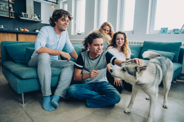 istock Cheerful family with Husky 1146968074