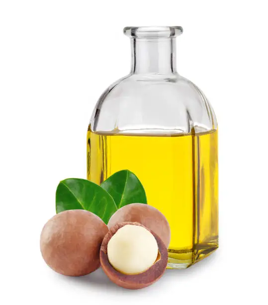 Macadamia oil in a glass bottle and nuts with leaves isolated on white background