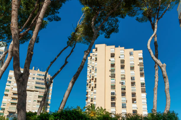 istock Contemporary architecture building with pine trees 1146970651