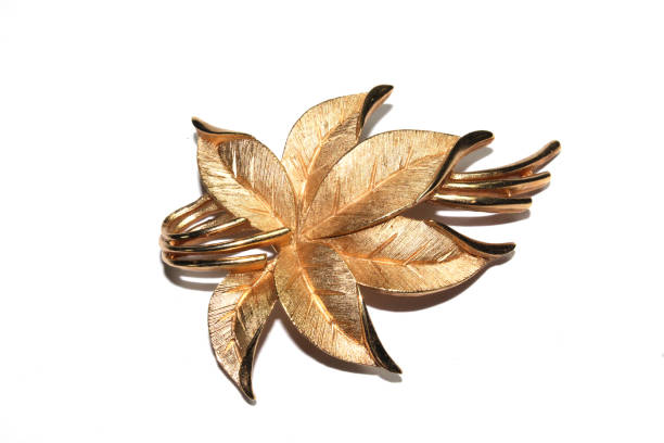 istock Pretty Brooch Jewellery On White Background 1146970847