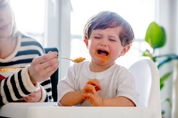 Young mother feeding a toddler boy with a spoon and dog stock photo