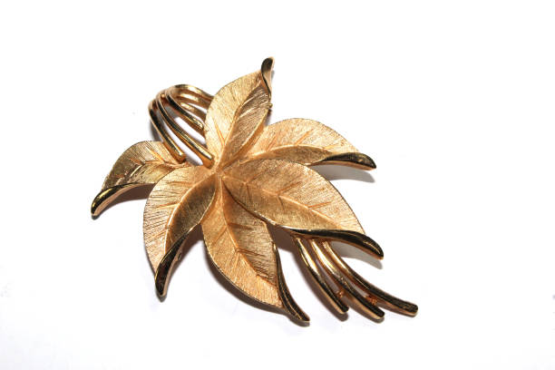 istock Pretty Brooch Jewellery On White Background 1146970869