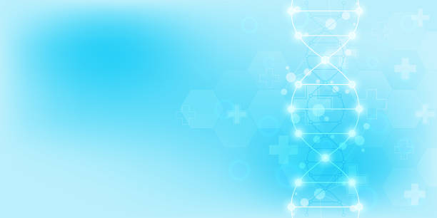 istock DNA strand background and genetic engineering or laboratory research. Medical technology and science concept. 1146973396