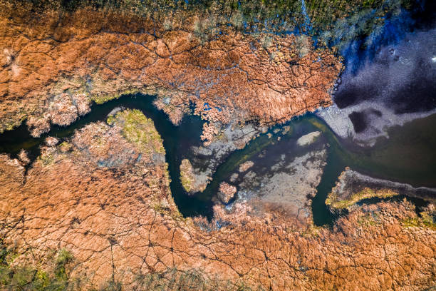 istock Flying above small blue river and swamps, Poland 1146973416