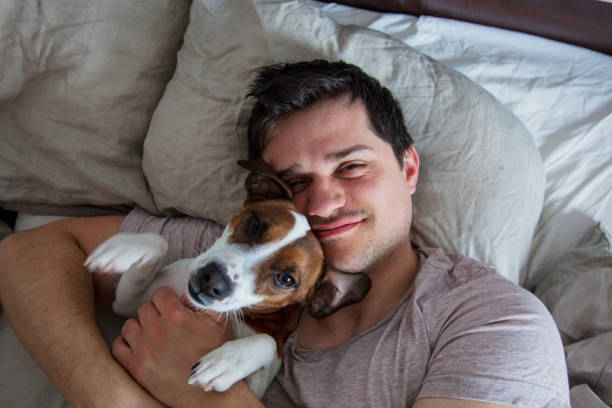 istock Man with dog lying down in the bed in a morning 1146975198