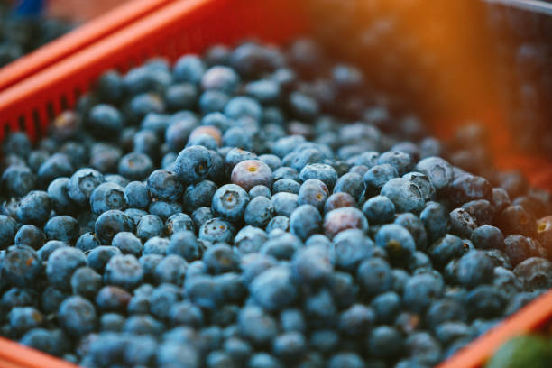 istock Blueberries at Farmers' market 1146975783