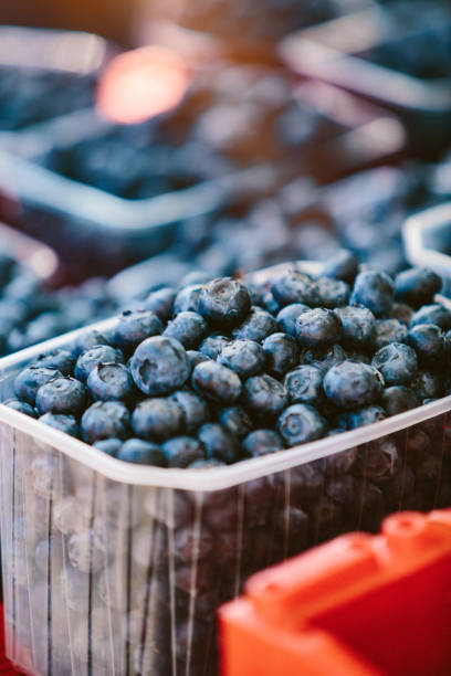 istock Blueberries at Farmers' market 1146977454