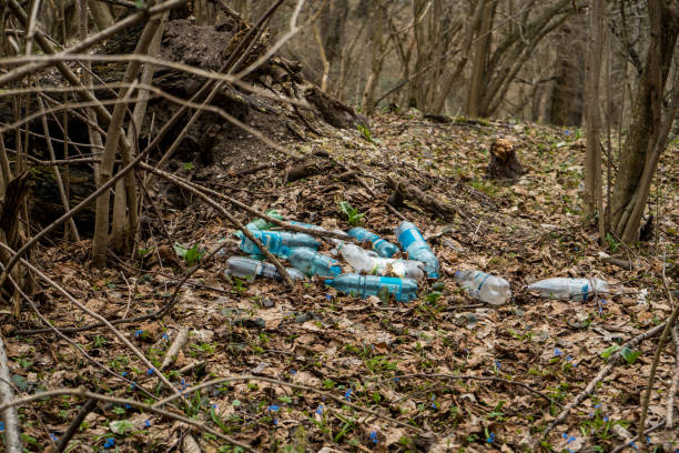 istock flooded by plastic bottles place in wild forest near the nature spring water source 1146977609
