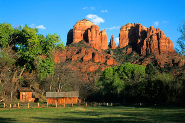 Cathedral Rock in Early Spring Sedona Arizona USA Farm and Spinning Waterwheel from Oak Creek Water near Red Rock Crossing Famous Cathedral Rock in early spring next to farm with spinning waterwheel and trees with new green leaves Sedona Arizona USA.  Along Oak Creek in Red Rock Crossing area.  Part of Oak Creek Canyon.  Passing puffy clouds.  Serene setting seen in some old western cowboy movies. coconino national forest stock pictures, royalty-free photos & images