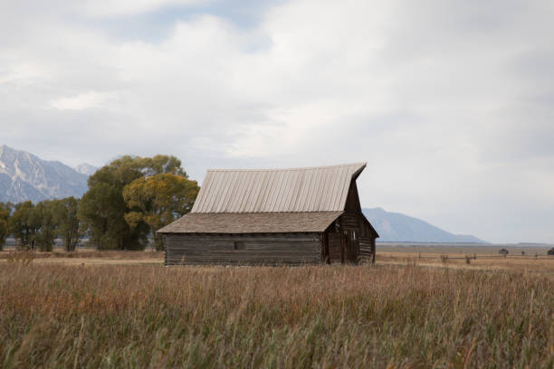 istock Mormon Row, Grand Teton National Park 1146985835