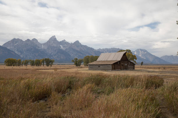 istock Mormon Row, Grand Teton National Park 1146985957