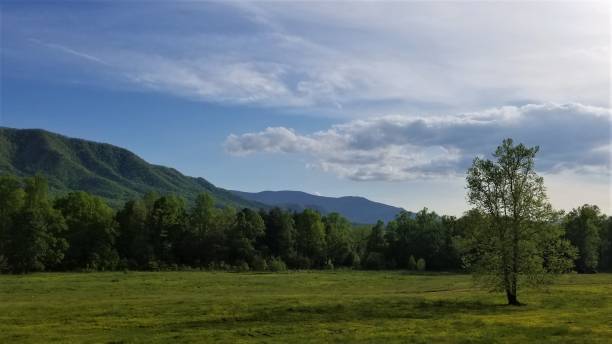 istock Colorful Afternoon Mountain Pasture With Dramatic Clouds 1 1146993699