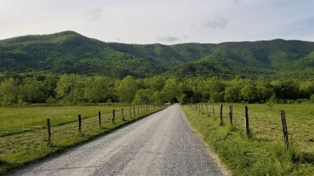 istock Fence Lined Country Road Through Mountain Pasture 1 1146993727