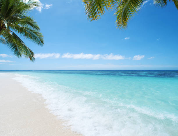 istock Beautiful beach and tropical sea 1147001415